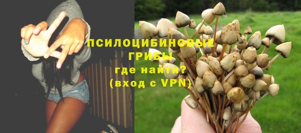 мдпв Козловка