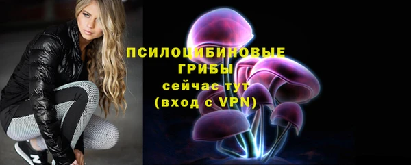 мяу мяу мука Кодинск