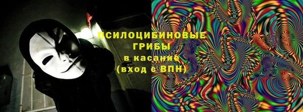 мдпв Козловка