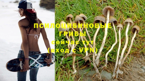 мяу мяу мука Кодинск