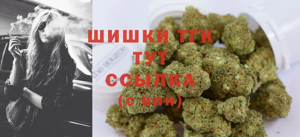 мдпв Козловка