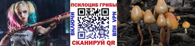 Псилоцибиновые грибы мицелий  Купить  Белёв 